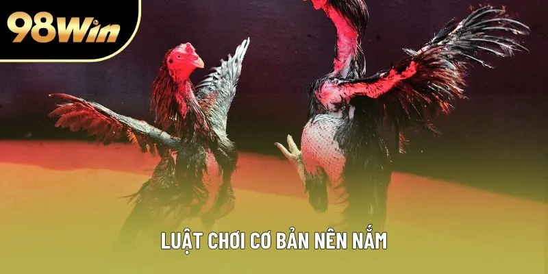 Luật chơi cơ bản nên nắm Luật chơi cơ bản nên nắm