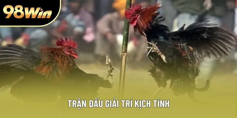 Trận đấu giải trí kịch tính Trận đấu giải trí kịch tính