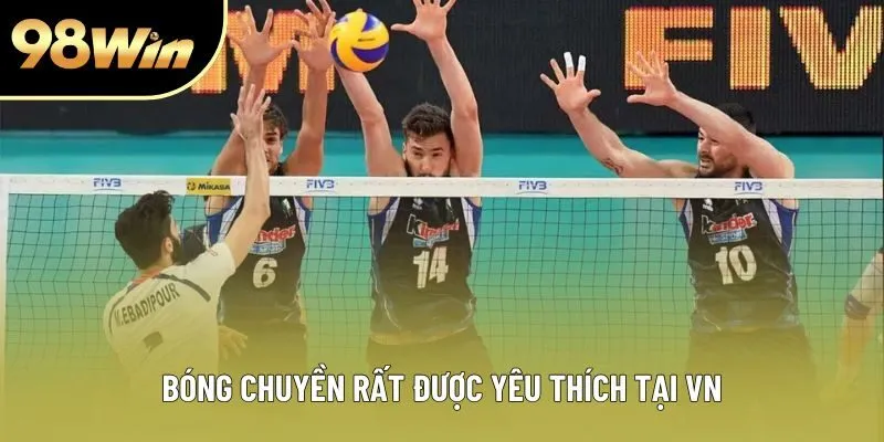 Bóng chuyền là kiểu kèo cực kỳ được yêu thích tại Việt Nam Bóng chuyền là kiểu kèo cực kỳ được yêu thích tại Việt Nam